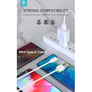 Suit Carica Batteria 2,4A 2 Uscite e Cavo Usb A - Type-C