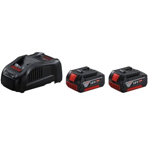 1600A00B8J,Set 2 batterie 18V 5.0Ah + Caricabatteria  