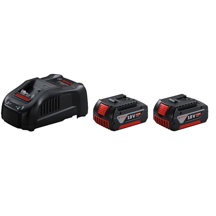 1600A00B8J,Set 2 batterie 18V 5.0Ah + Caricabatteria  