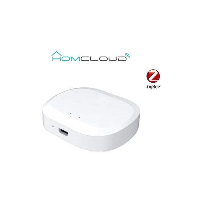 Centralina intelligente Hub - Zigbee+Bluetooth Centralina intelligente Hub - Zigbee+Bluetooth