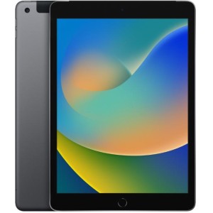 Apple iPad 9 A2602 2021 10.2'' 64GB Grey Wi-Fi Usato Grado A