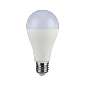 Lampadina LED E27 15W 100LM/W A65 2700K