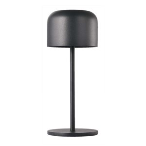 LED Table Lamp 2200mAH Battery D86*H210mm Black Body IP54 3000K+6000K