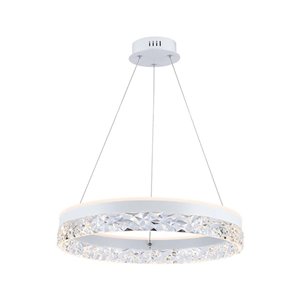 25W LED Designer Hanging Lamp Single Ring 3000K White Body