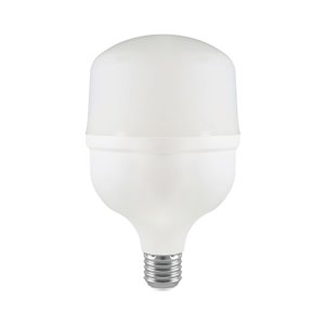 LED Bulb - 30W Plastic T100 4000K