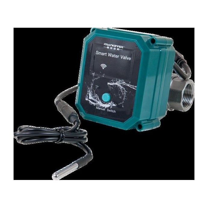 Shelly FrankEver Valvola intelligente per acqua DN25