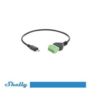 Terminale Micro USB per The...