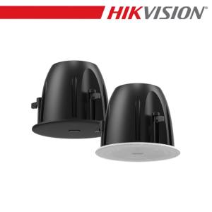 Altoparlante da soffitto...