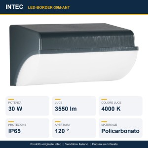 Applique da esterno LED 30W 4000K IP65 Antracite e Bianco - Intec - foto 2
