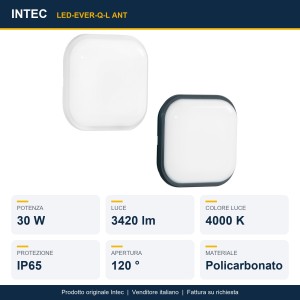 Plafoniera da esterno 30W 4000K IP65 Antracite e Bianco - Intec - foto 2