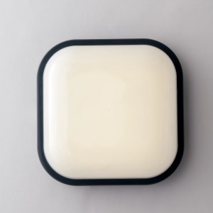 Plafoniera da esterno 30W 4000K IP65 Antracite e Bianco - Intec - foto 4