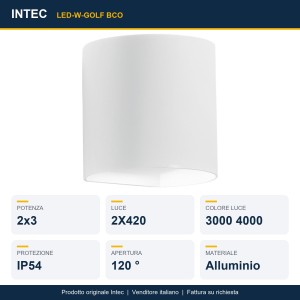 Applique LED da esterno CCT 3000/4000K IP54 GOLF Bianco e Nero - Intec - foto 2