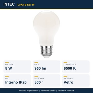 Lampadina LED E27 8W 950lm 6500K Intec - foto 2