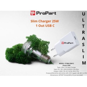Slim Carica Batterie 25W 1 Out USB C
