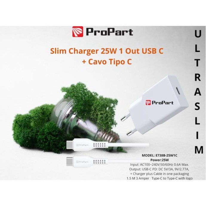 Slim Carica Batterie + Cavo Tipo C 25W 1 Out USB C