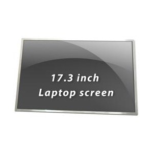 17.3 N173FGE-L23 WSVGA DISPLAY LED GLOSSY