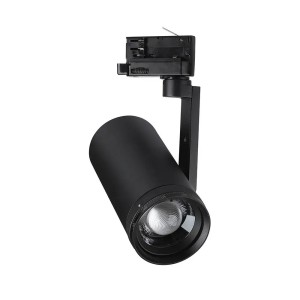 Faretto LED COB 30W per...