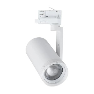 Faretto LED COB 30W per...