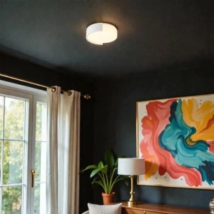 Plafoniera LED 63W CCT 3000K 4000K 6000K Rotonda Ø550 Dimmerabile V-TAC VT-84036 - foto 3