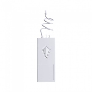 WiFi Receiver Compatible with Amazon Alexa And Google Home